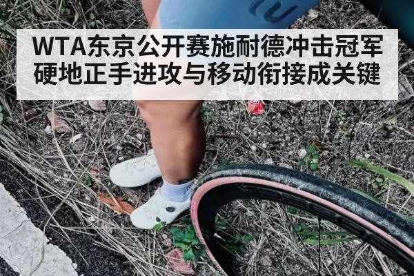 WTA东京公开赛施耐德冲击冠军硬地正手进攻与移动衔接成关键